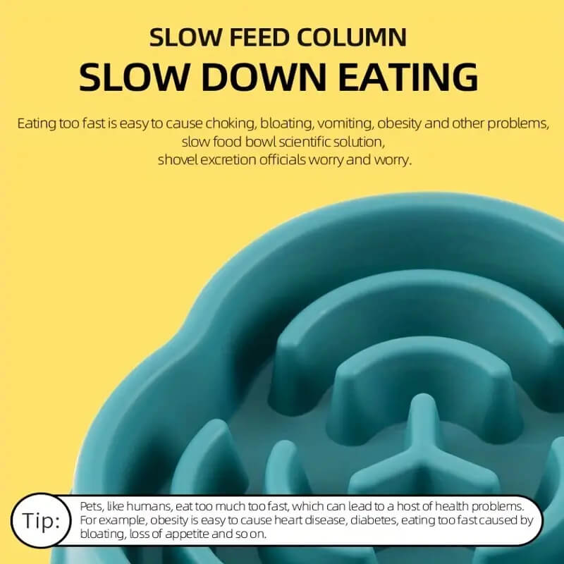 Slow Food Choke-proof Bowl