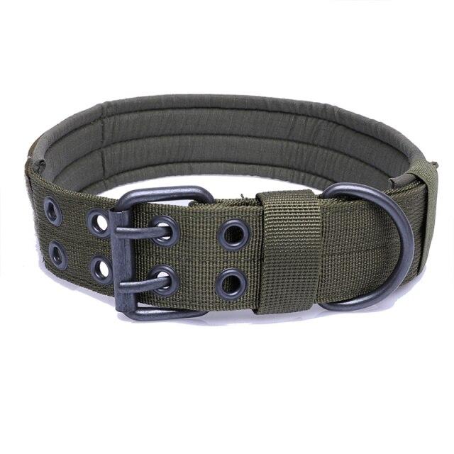 Large Dog Collar